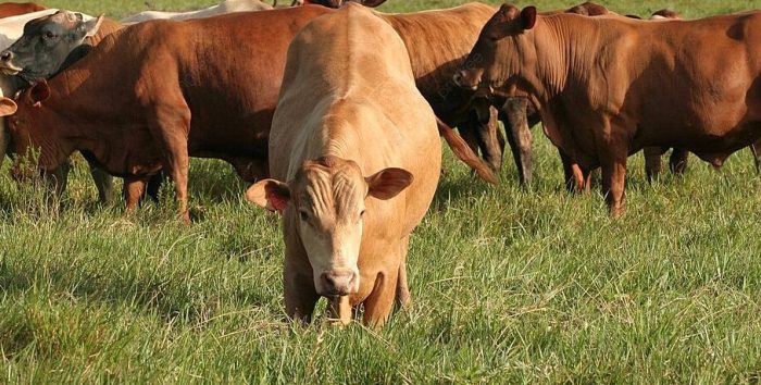 Kecamatan Sangasanga Bakal ‘Sulap’ Lahan Eks Tambang Jadi Pusat ...