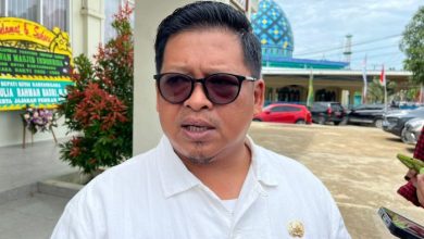 Kepala Dispora Kukar, Aji Ali Husni