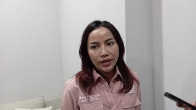 Wakil Ketua DPRD Kota Samarinda, Celni Pita Sari