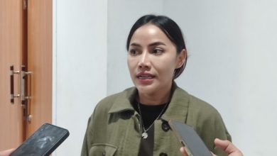 Wakil Ketua DPRD Kota Samarinda, Celni Pita Sari