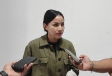 Wakil Ketua DPRD Kota Samarinda, Celni Pita Sari