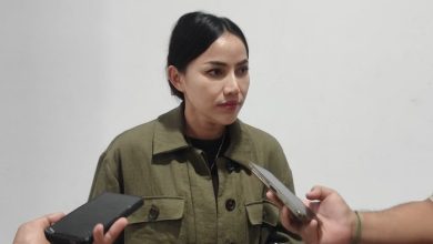 Wakil Ketua DPRD Kota Samarinda, Celni Pita Sari