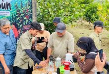 Wakil Bupati Berau, Gamalis menghadiri Diskusi Kolaboratif Pengembangan Kopi Liberika Kalimantan Timur di Kedai Kanne Kopi, Kampung Sambakungan, Sabtu (25/7/2026).