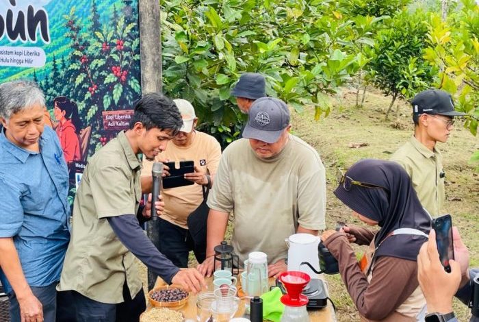 Wakil Bupati Berau, Gamalis menghadiri Diskusi Kolaboratif Pengembangan Kopi Liberika Kalimantan Timur di Kedai Kanne Kopi, Kampung Sambakungan, Sabtu (25/7/2026).