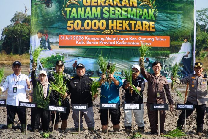 Wakil Bupati Berau Gamalis menghadiri Gerakan Tanam Padi Serentak 50.000 Hektare di Kampung Melati Jaya, Kecamatan Gunung Tabur, Jumat (31/7/2026).