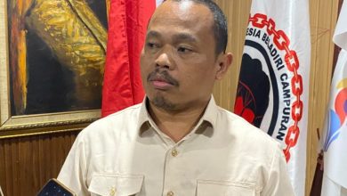 Sekretaris Jenderal PP IBCA MMA, Maraden Lumbantoruan