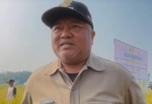 Wakil Bupati Berau, Gamalis