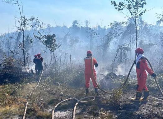 Petugas sedang memadamkan kebakaran hutan dan lahan (karhutla) di Kabupaten Berau.
