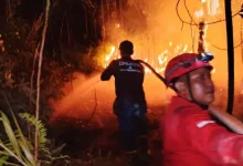 Kebakaran hutan dan lahan di Kabupaten Berau
