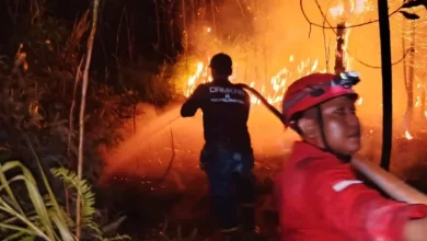 Kebakaran hutan dan lahan di Kabupaten Berau