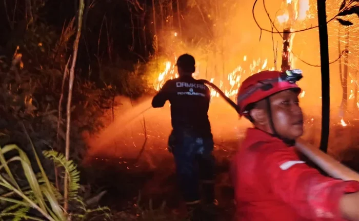 Kebakaran hutan dan lahan di Kabupaten Berau