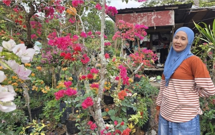 Ibu Rubainah, penjual bunga bugenvil di Jl Ruhui Rahayu.