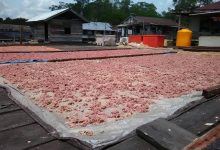 Terasi menjadi salah satu produk olahan unggulan Kabupaten Berau.