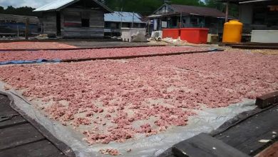 Terasi menjadi salah satu produk olahan unggulan Kabupaten Berau.