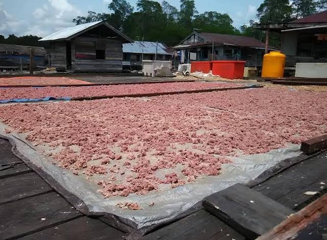 Terasi menjadi salah satu produk olahan unggulan Kabupaten Berau.